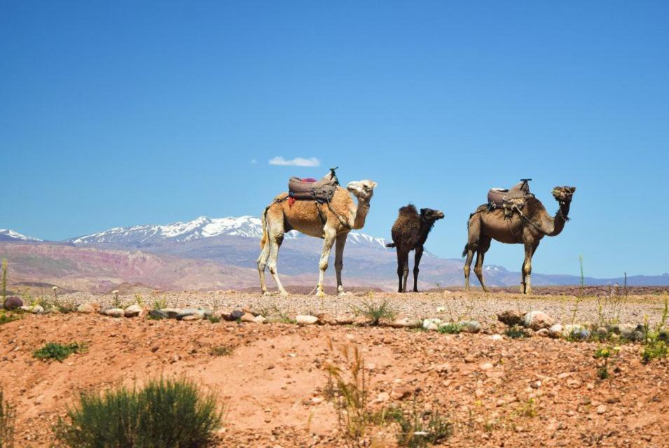 Amazigh Family Riad Imlil  Exteriér fotografie